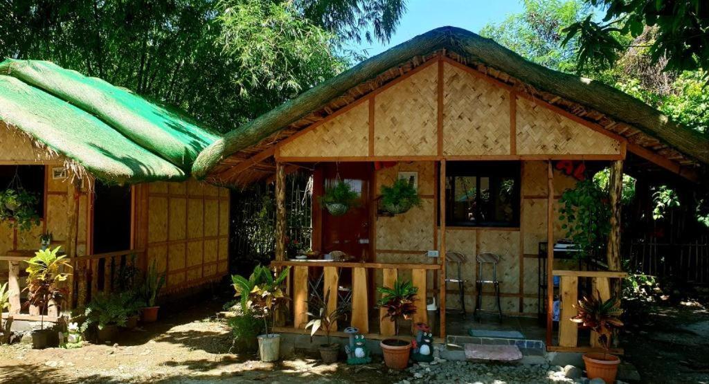 Traditional Filipino Transient House And Huts Near 100 Islands Wharf Alaminos Eksteriør billede