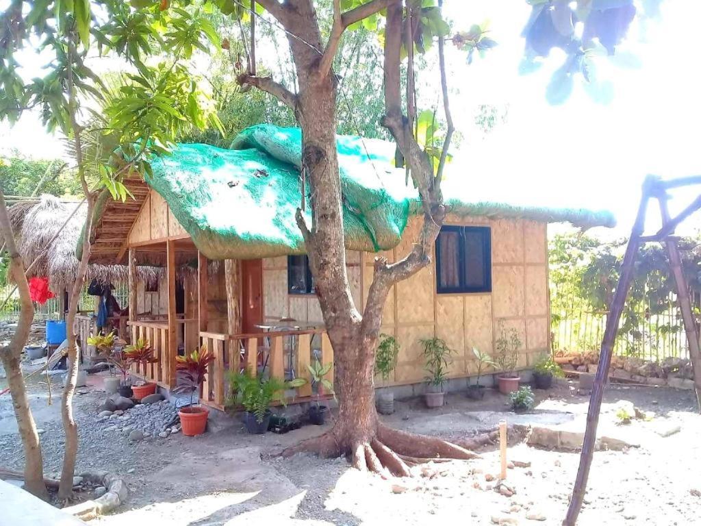 Traditional Filipino Transient House And Huts Near 100 Islands Wharf Alaminos Eksteriør billede