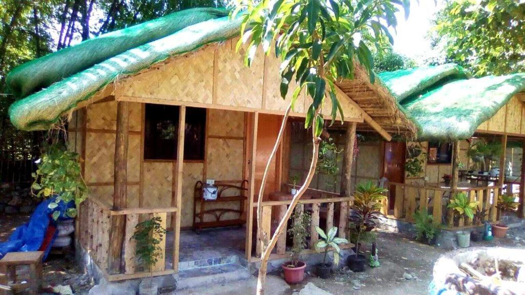 Traditional Filipino Transient House And Huts Near 100 Islands Wharf Alaminos Eksteriør billede